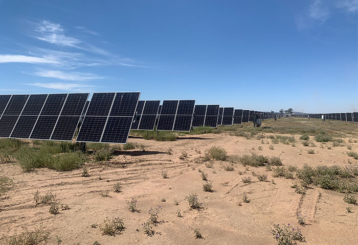 Leeton Solar Farm Featured Image